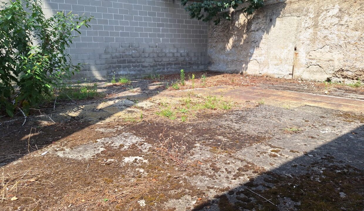 IMG-20230719-WA0006