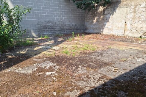 IMG-20230719-WA0006